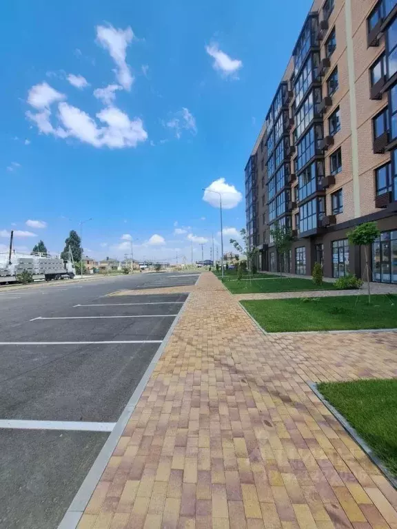 Помещение свободного назначения в Краснодарский край, Динской район, ... - Фото 1