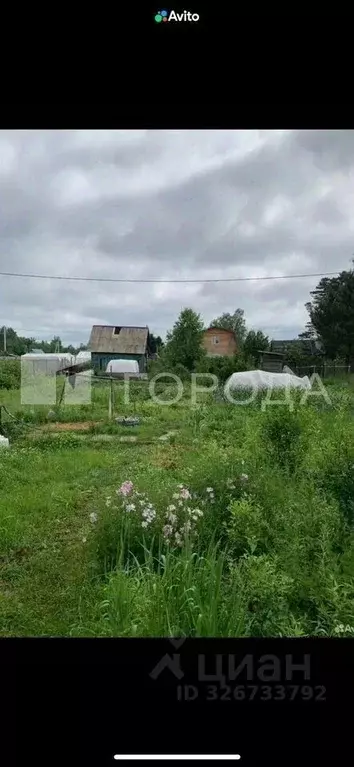 Участок в Новосибирская область, Новосибирск Любитель СНТ, проезд 1-й ... - Фото 2
