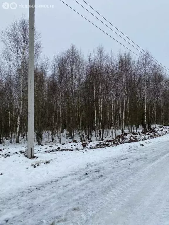 Участок в Московская область, городской округ Чехов, деревня Большое ... - Фото 1