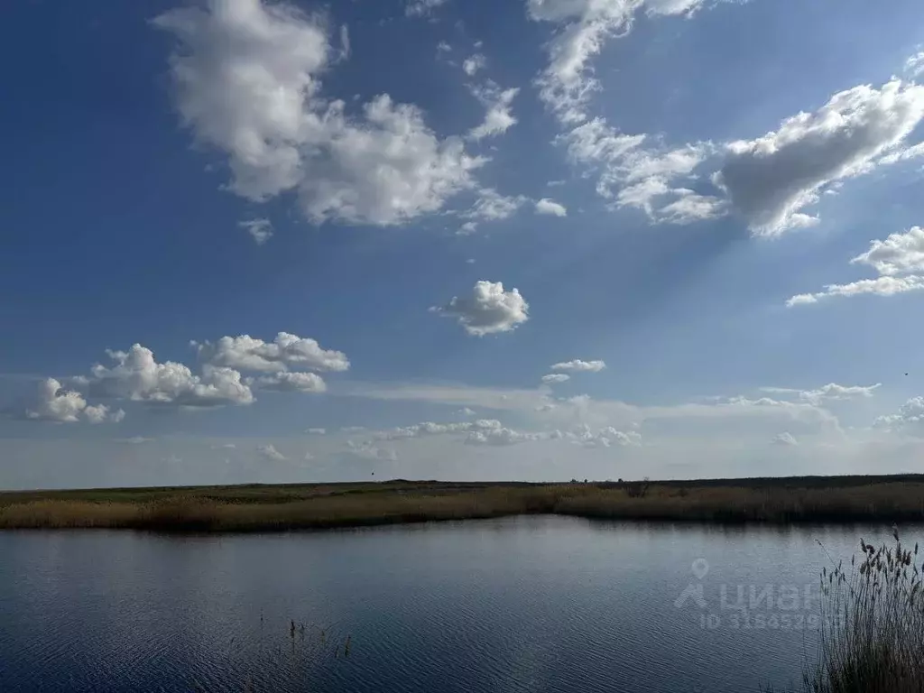 Участок в Волгоградская область, Среднеахтубинский район, ... - Фото 1