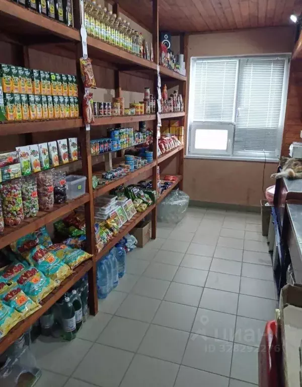 Помещение свободного назначения в Саратовская область, Саратов Юриш ... - Фото 2