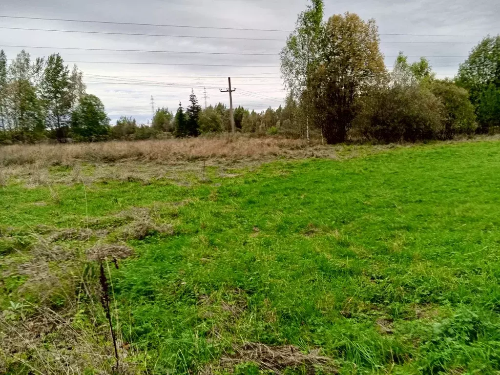 Участок в Новгородская область, Окуловский муниципальный район, ... - Фото 1