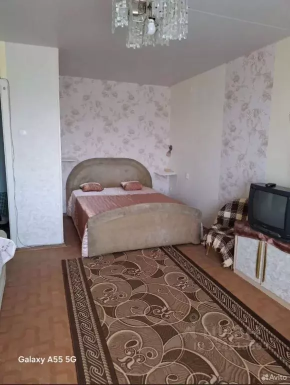 1-к кв. Псковская область, Псков Юбилейная ул., 77Б (39.0 м) - Фото 1