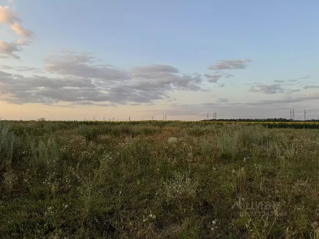 Участок в Ростовская область, Мясниковский район, с. Крым ул. Генерала ... - Фото 0