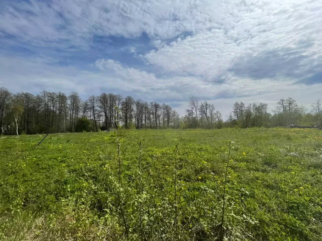 Участок в Ленинградская область, Выборгский район, Полянское с/пос, ... - Фото 1