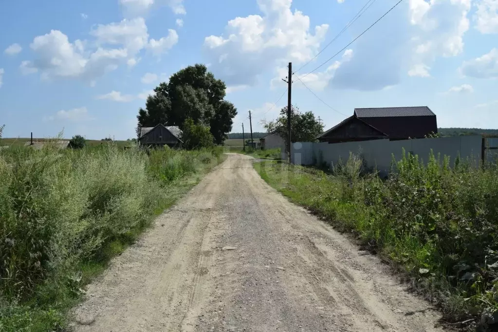 Участок в Новосибирская область, Искитимский район, с. Улыбино ... - Фото 1