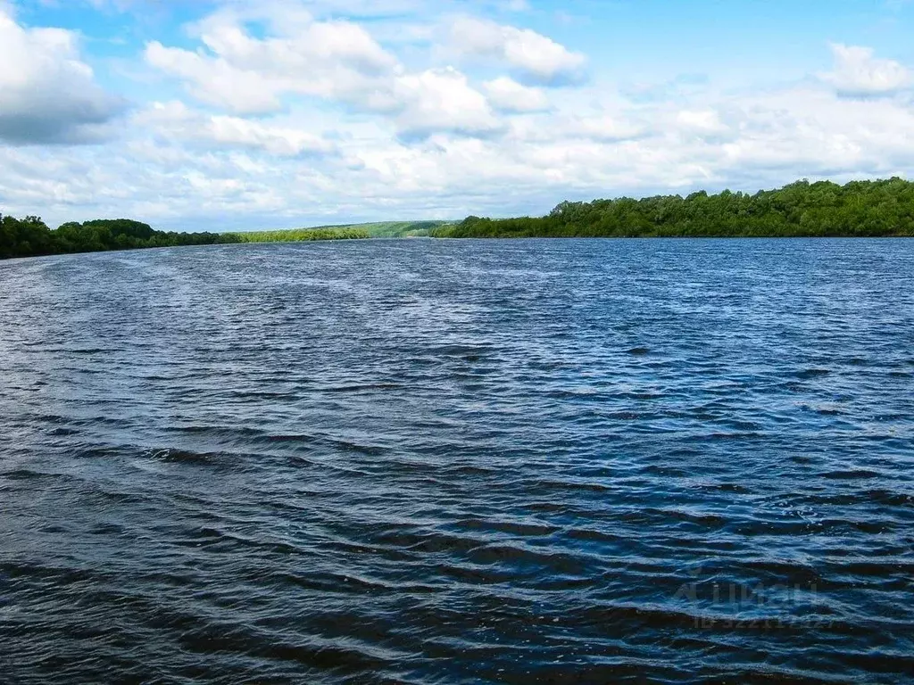 Участок в Тульская область, Ясногорский район, Иваньковское с/пос, д. ... - Фото 1