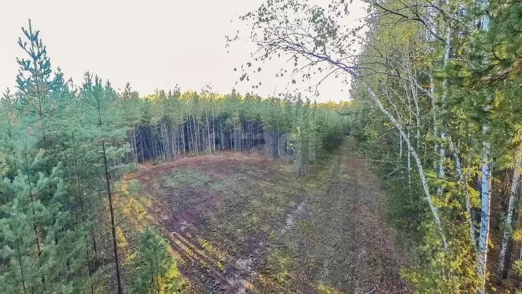 Участок в Тюменская область, Тюменский район, с. Кулига, Кулига-2 мкр  ... - Фото 0