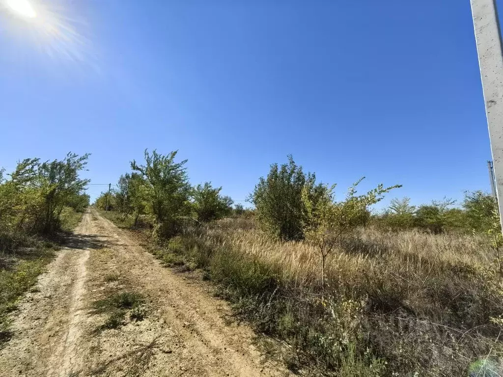 Участок в Ростовская область, Аксайский район, Ольгинское с/пос, Махин ... - Фото 2