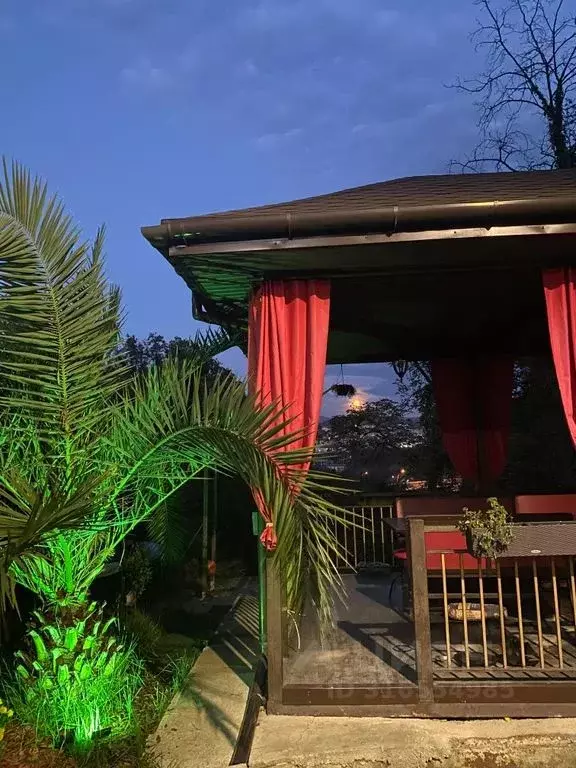 2-к кв. Краснодарский край, Сочи Красная ул., 85 (19.0 м) - Фото 1