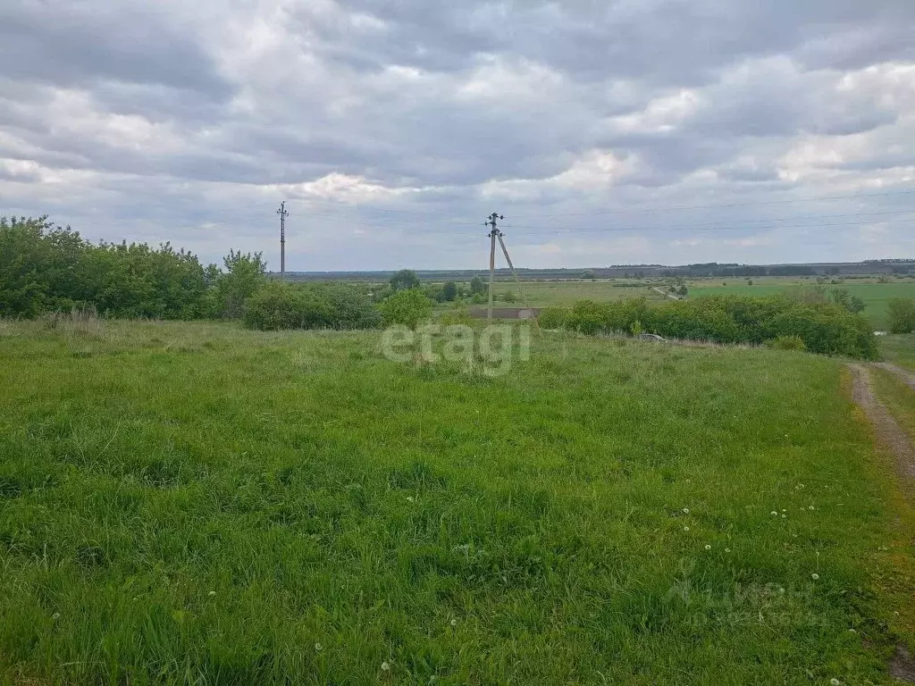 Участок в Воронежская область, Новоусманский район, ... - Фото 0