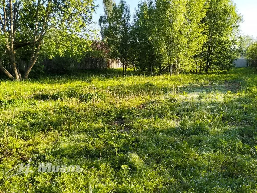 Продается участок в д. Талаево - Фото 0