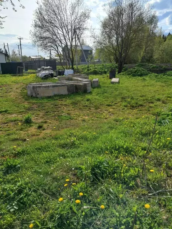 Участок в Московская область, Солнечногорск городской округ, д. ... - Фото 1