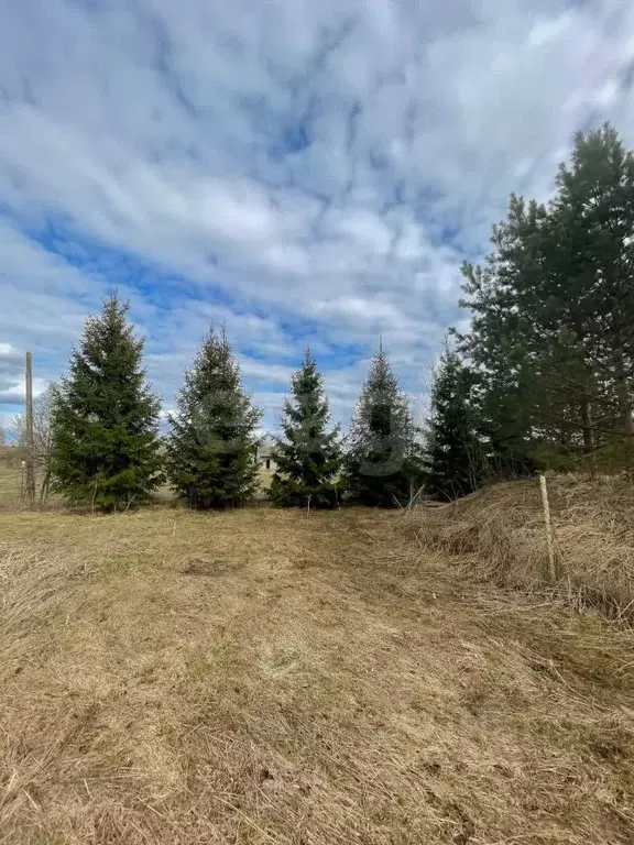Участок в Ярославская область, Пошехонский муниципальный округ, с. ... - Фото 1