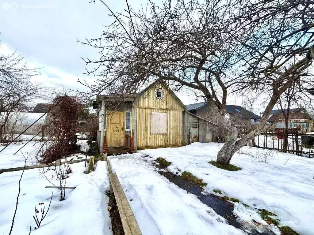 Участок в Калининград, СНТ Колосок, Космическая улица (5.9 м) - Фото 1