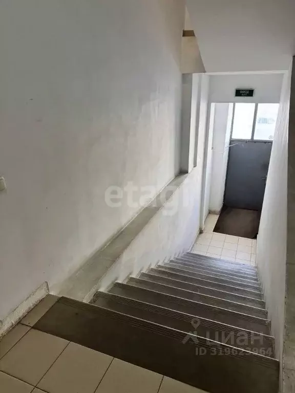 Офис в Белгородская область, Белгород ул. Костюкова, 36Г (33 м) - Фото 1