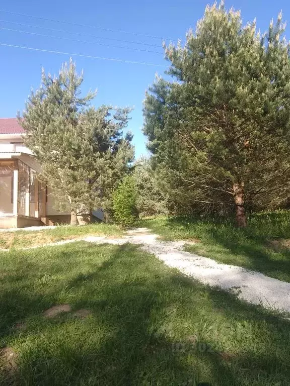 Дом в Псковская область, Печорский муниципальный округ, д. Малая ... - Фото 0