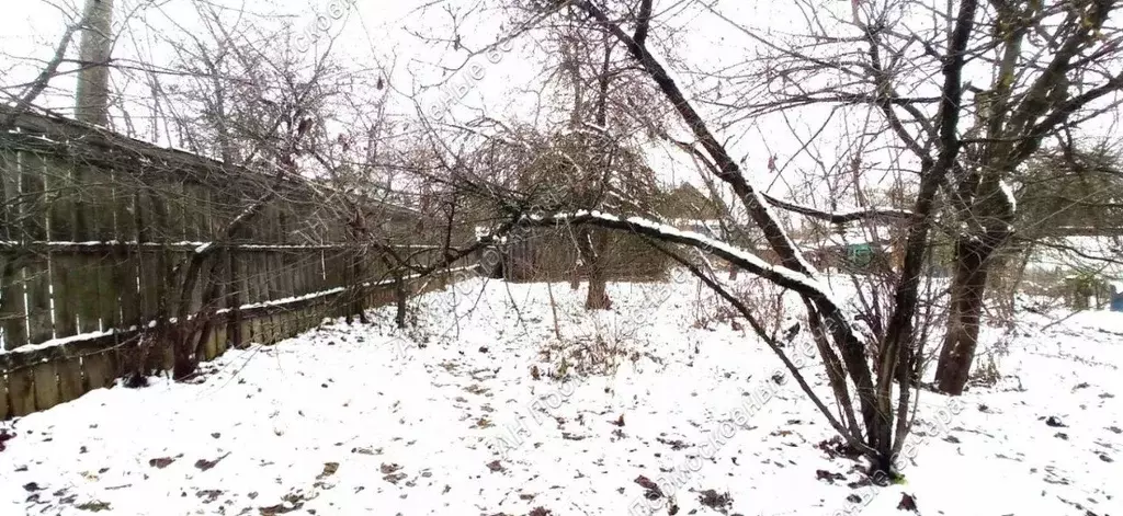 Участок в Московская область, Истра городской округ, д. Павловское ул. ... - Фото 0