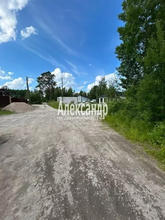 Участок в Ленинградская область, Приозерск  (12.0 сот.) - Фото 2