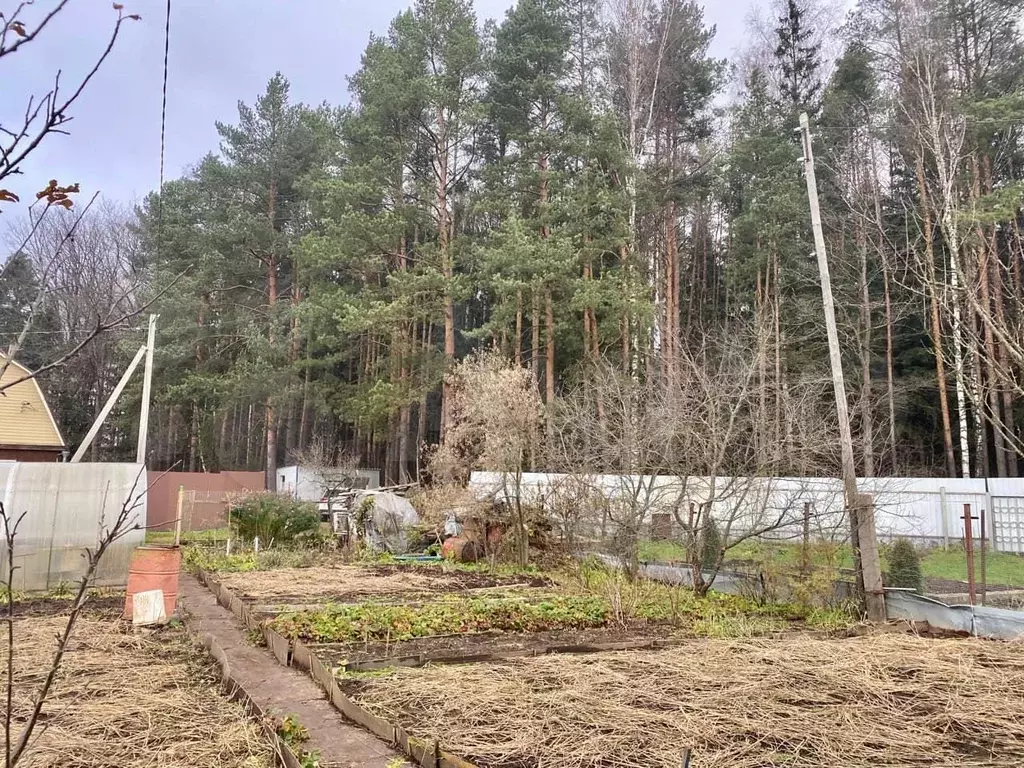 Купить Дом В Березках Солнечногорский Район