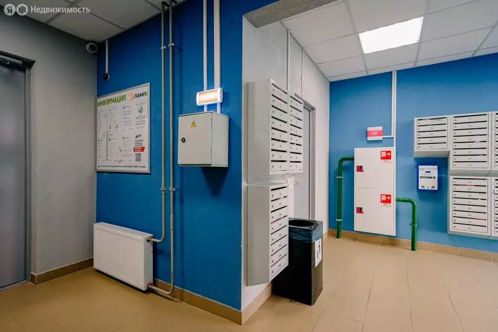 Квартира-студия: Мурино, Графская улица, 6к3 (20.4 м) - Фото 1