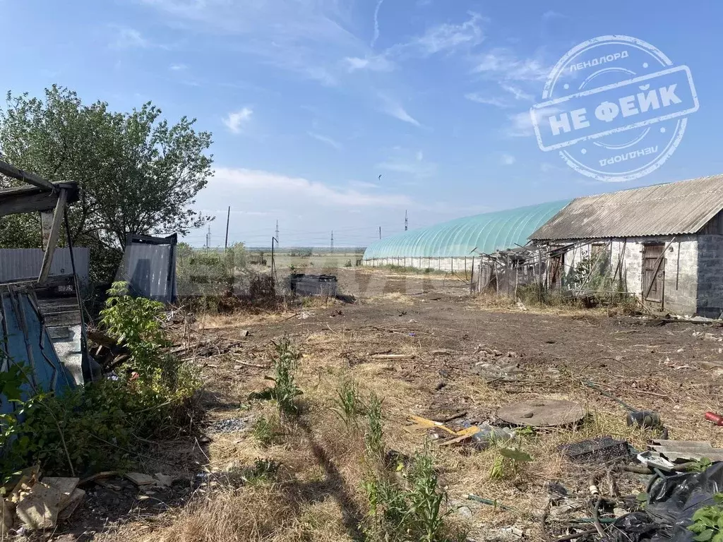 Участок в Ростовская область, Октябрьский район, Кривянское с/пос, ... - Фото 1