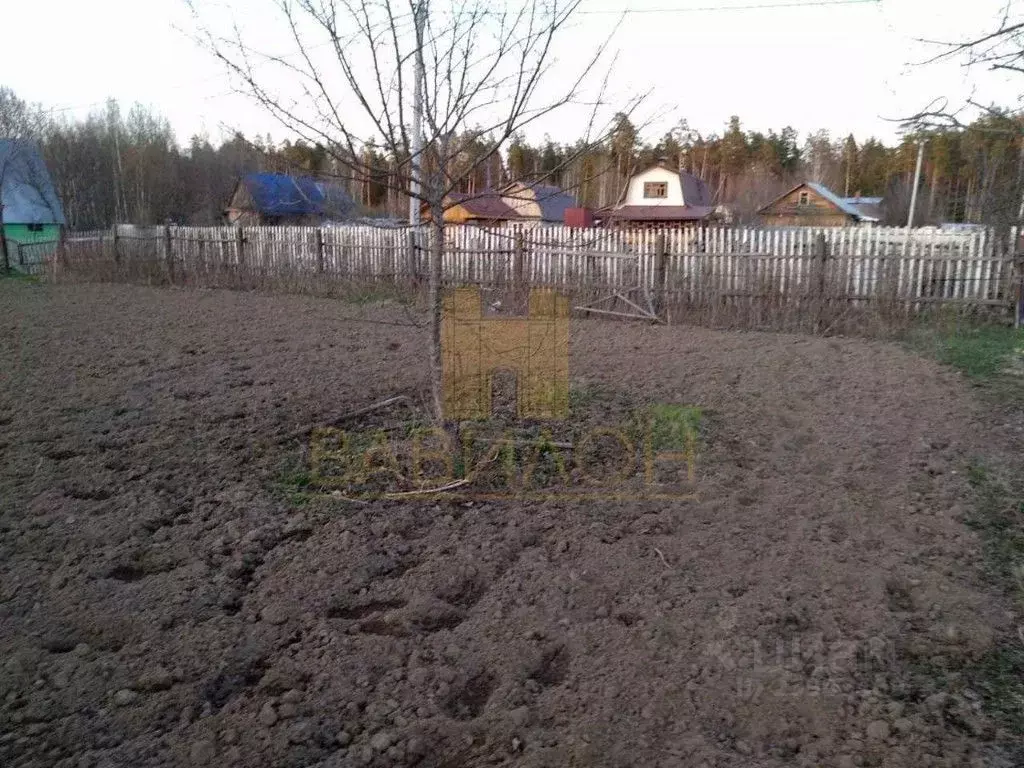 Купить Участок В Зверево Новая Москва