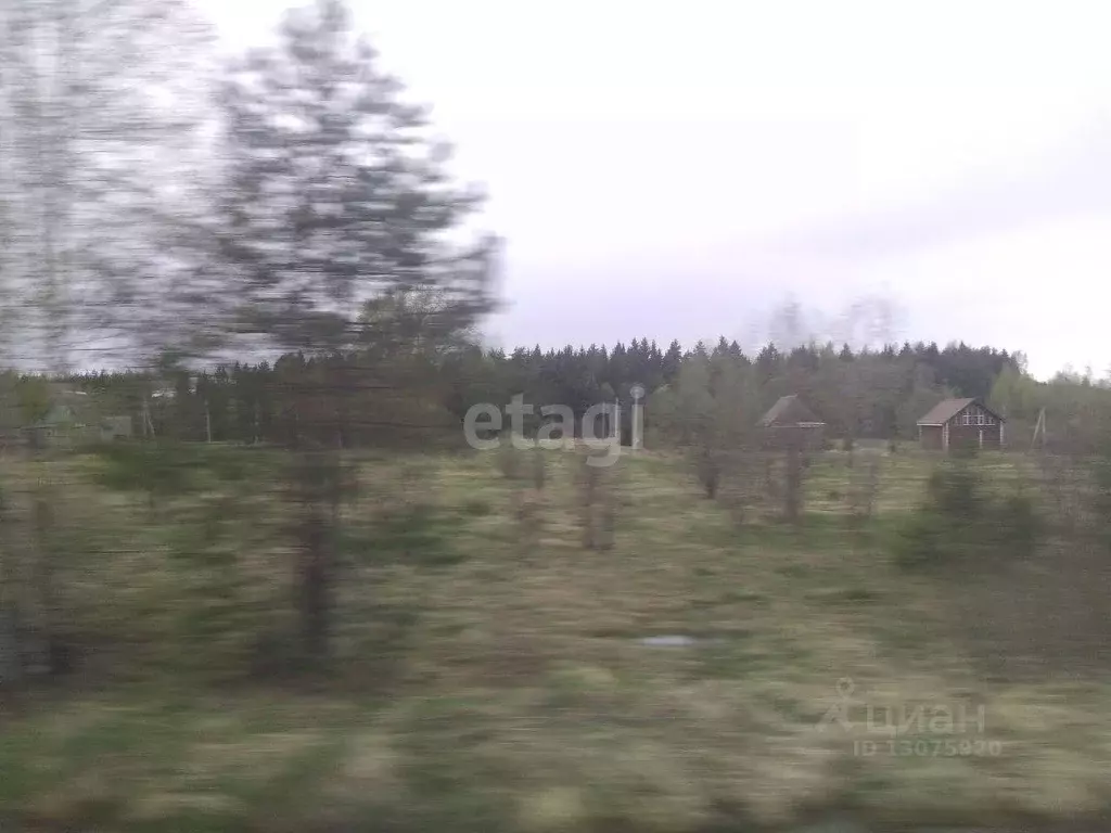 Участок в Ярославская область, Ярославский район, Кузнечихинское ... - Фото 0