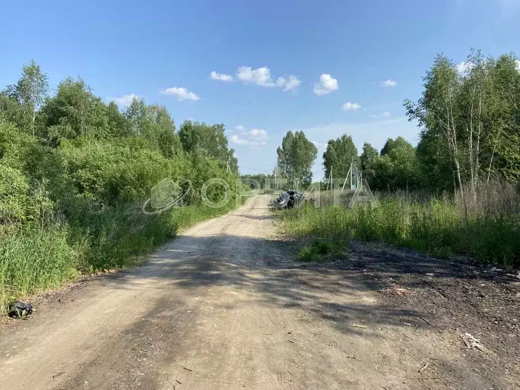 Участок в Тюменская область, Нижнетавдинский муниципальный округ, ... - Фото 2