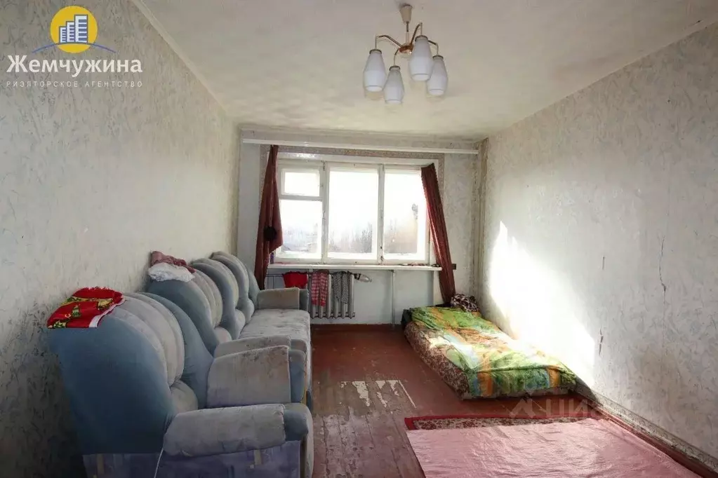 2-к кв. Ульяновская область, Димитровград ул. Куйбышева, 259 (46.0 м) - Фото 0