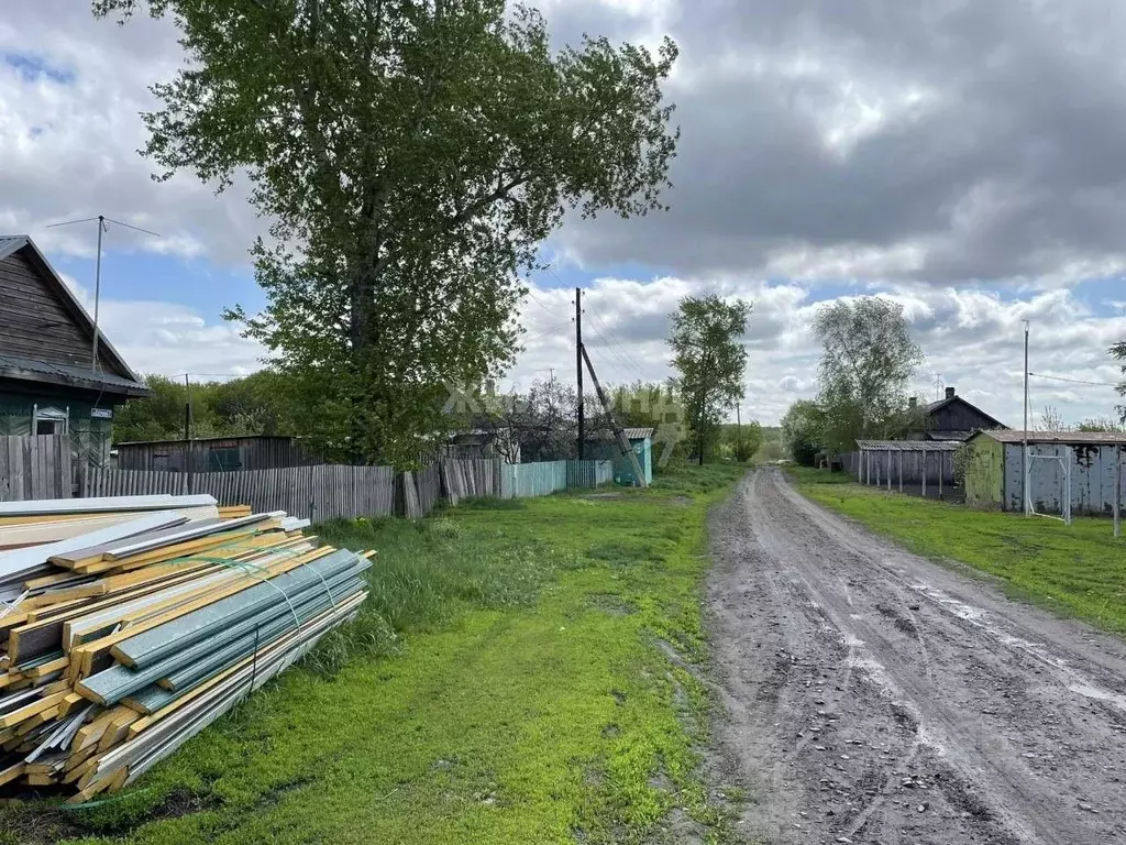 Участок в Новосибирская область, Коченевский район, с. Чистополье ... - Фото 1