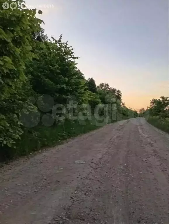 Участок в Иглинский район, Чуваш-Кубовский сельсовет, СТ Мираж (9.04 ... - Фото 2