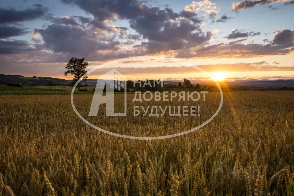 Участок в Пермский край, д. Шугуровка ул. Заречная (420.0 сот.) - Фото 0