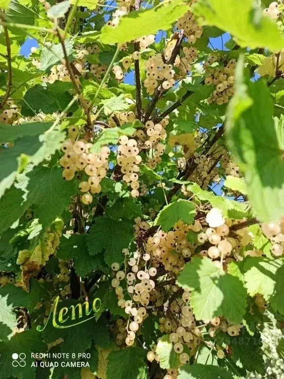 Дом в Московская область, Егорьевск Олимпийский садовое товарищество,  ... - Фото 2