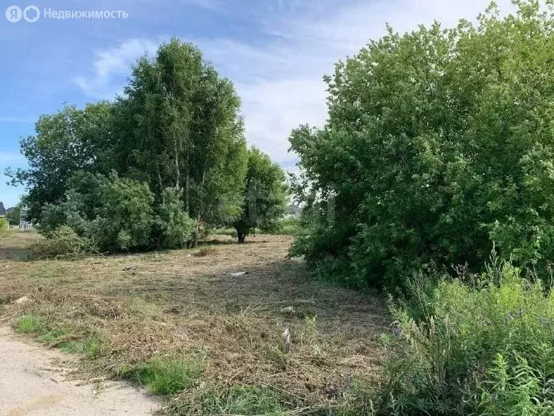 Участок в Калининградская область, Зеленоградский муниципальный округ, ... - Фото 2