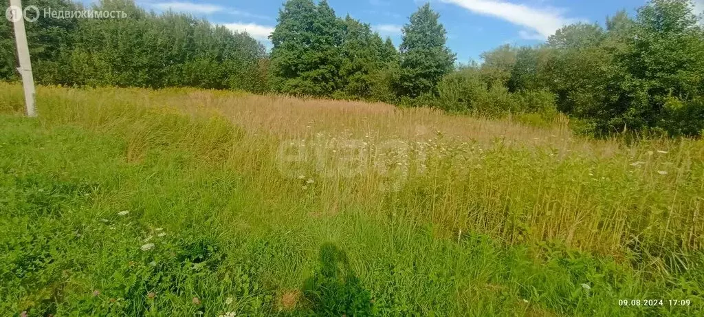 Участок в Калининградская область, Зеленоградский муниципальный округ, ... - Фото 2