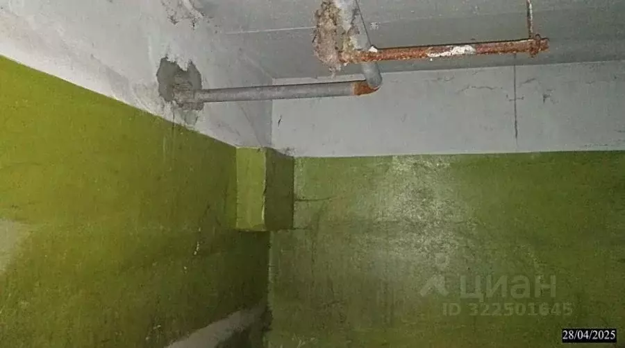 Помещение свободного назначения в Нижегородская область, Нижний ... - Фото 2