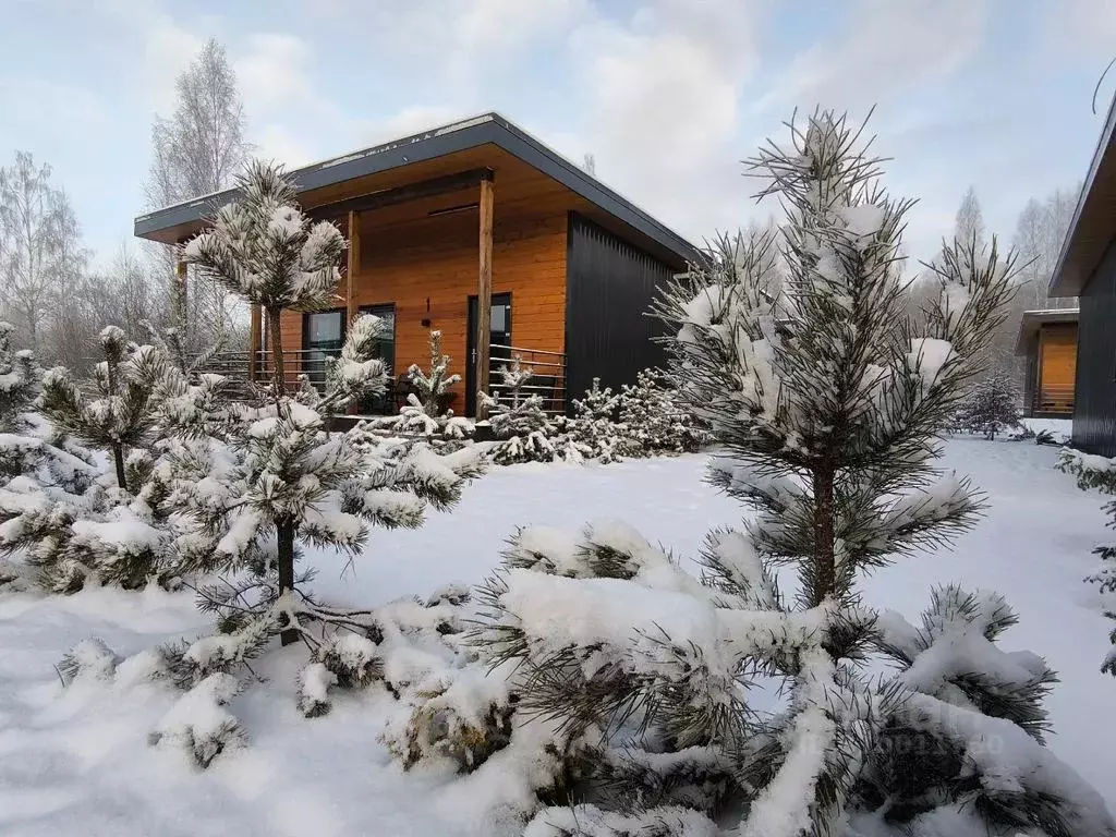 Дом в Ленинградская область, Приозерский район, Красноозерное с/пос, ... - Фото 1