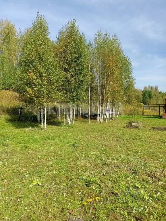 Участок в Новосибирская область, Новосибирский район, Барышевский ... - Фото 1