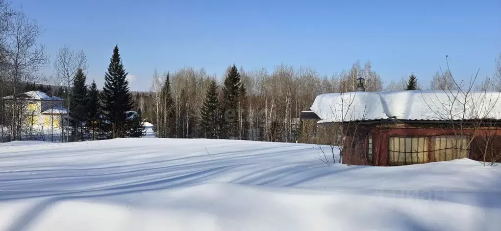Участок в Томская область, Томск пос. Родионово, ул. Маршала Жукова ... - Фото 2