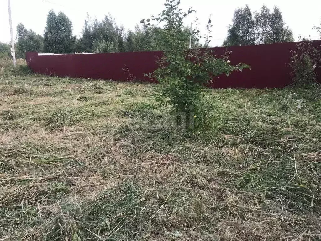 Участок в Тюменская область, Тюмень Россиянка садовое товарищество, ... - Фото 1