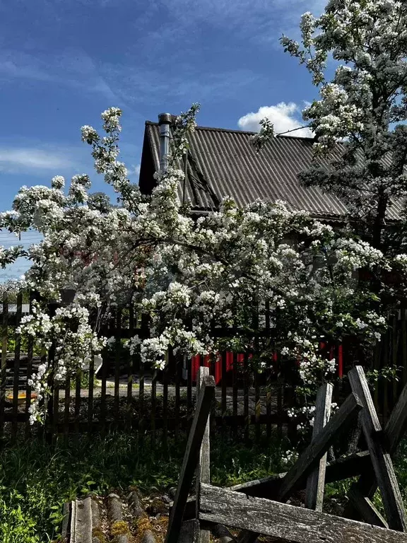 Дом 60 м на участке 6 сот. - Фото 1