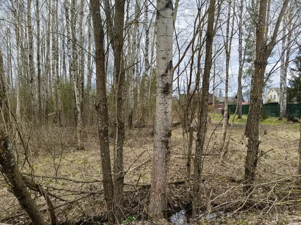 Участок в Московская область, Талдомский городской округ, д. Бурцево  ... - Фото 1