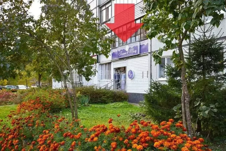 Торговая площадь (31.5 м) - Фото 2