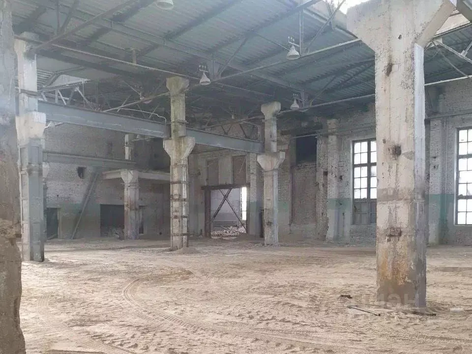 Производственное помещение в Самарская область, Самара ул. Литвинова, ... - Фото 1