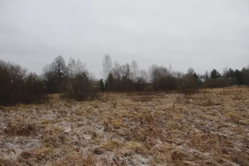 Участок в Московская область, Шаховская муниципальный округ, д. ... - Фото 1