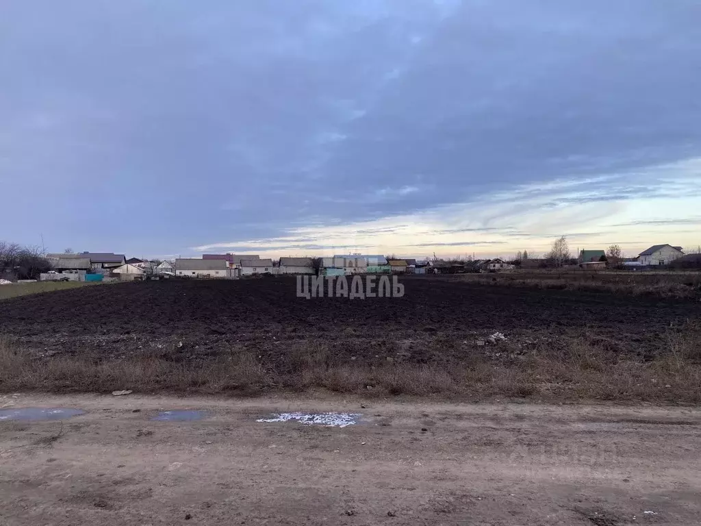 Участок в Воронежская область, Хохольский район, с. Новогремяченское ... - Фото 1