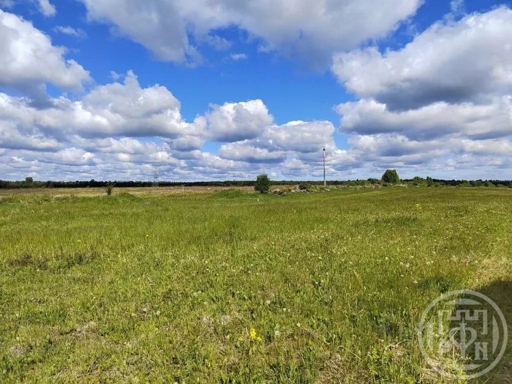 Участок в Ленинградская область, Ломоносовский район, Кипенское с/пос, ... - Фото 2