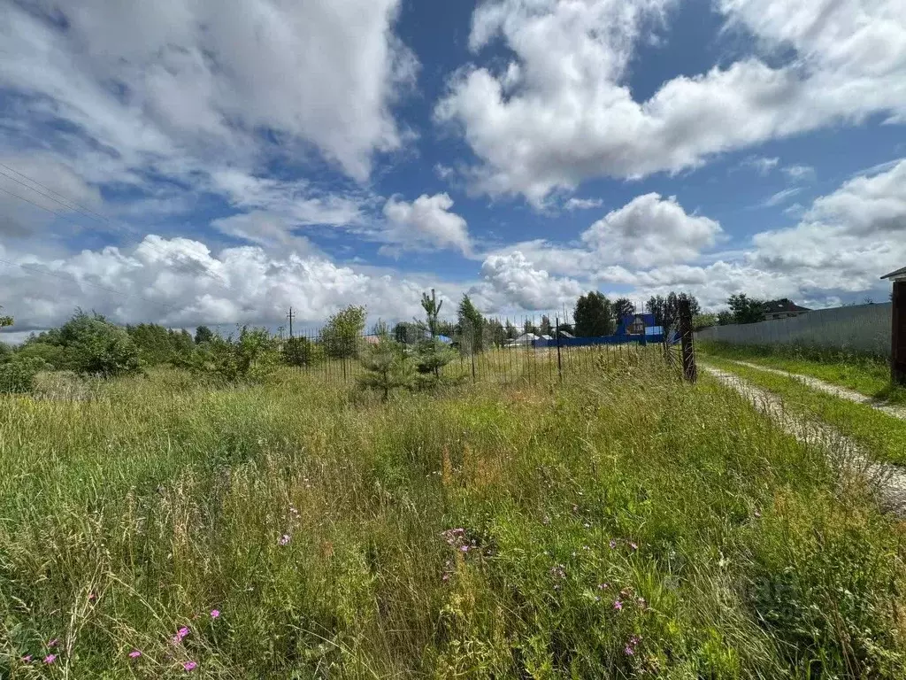 Участок в Владимирская область, Муромский район, д. Александровка  ... - Фото 0