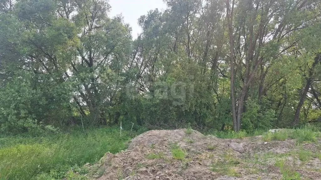 Участок в Калининградская область, Гурьевск ул. Петровская (1010.0 ... - Фото 1